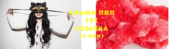 эйфоретик Беломорск