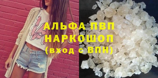 эйфоретик Беломорск
